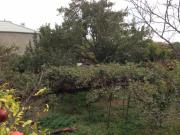 Satılır 10 sot torpaq Ceyranbatan