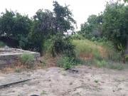 Satılır 600 sot torpaq Bülbülə