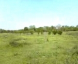 Satılır 2800 sot torpaq Xaçmaz