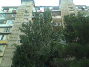 Satılır 1 otaqlı 40 m2 köhnə tikili 9 mkr