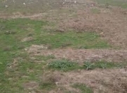 Satılır 12 sot torpaq Sulutəpə