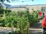 Satılır 3 otaqlı 100 m2 bağ evi Ramana