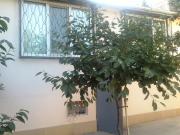 İcarəyə verilir 3 otaqlı 80 m2 obyekt Elmlər Akademiyası m.