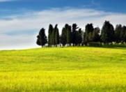 Satılır 200 sot torpaq Binəqədi