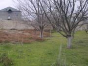 Satılır 15 sot torpaq Novxanı