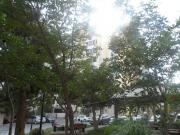 Satılır 4 otaqlı 120 m2 köhnə tikili 8 mkr