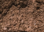 Satılır 6 sot torpaq Zirə