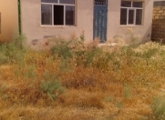 Satılır 3 otaqlı 100 m2 bağ evi Zabrat 2