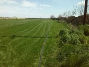 Satılır 100 sot torpaq Savalan