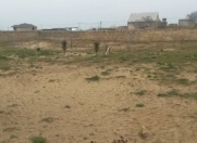 Satılır 3 otaqlı 100 m2 bağ evi Nardaran