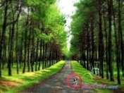 İcarəyə verilir 0 otaqlı 110 m2 bağ evi Quba