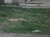 Satılır 20 sot torpaq 28 May m.