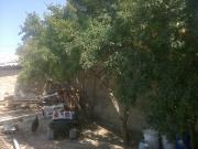 Satılır 5 otaqlı 7 m2 bağ evi Buzovna