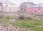 Satılır 7 sot torpaq Biləcəri