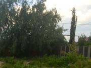 Satılır 12 sot torpaq Şamaxı