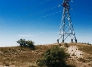 Satılır 40000 sot torpaq Şamaxı