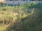 Satılır 3 sot torpaq Kürdəxanı