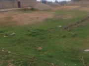 Satılır 10 sot torpaq Xaçmaz