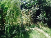 Satılır 3 otaqlı 20 m2 bağ evi Buzovna