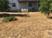 Satılır 6 otaqlı 245 m2 həyət evi Savalan