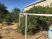 Satılır 550 sot torpaq Sulutəpə