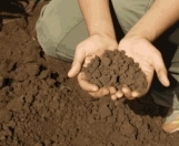 Satılır 7200 sot torpaq Novxanı