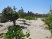 Satılır 3 otaqlı 0 m2 bağ evi Nardaran