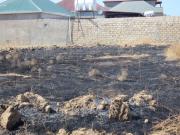 Satılır 800 sot torpaq Mehdiabad