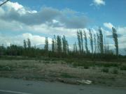 Satılır 7 otaqlı 225 m2 bağ evi Qala