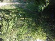 Satılır 3 otaqlı 170 m2 bağ evi Oğuz