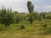 Satılır 2 otaqlı 80 m2 bağ evi Xaçmaz