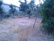 Satılır 4 sot torpaq Xaçmaz