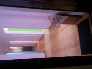 İcarəyə verilir 3 otaqlı 82 m2 yeni tikili Binəqədi