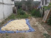 Satılır 2 sot torpaq NZS