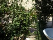 Satılır 3 otaqlı 245 m2 bağ evi Sahil