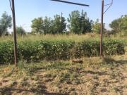 Satılır 9 sot torpaq Mehdiabad