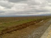 Satılır 100000 sot torpaq Ələt