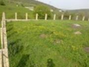 Satılır 1000 sot torpaq Siyəzən