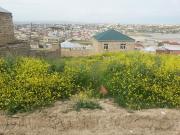 Satılır 300 sot torpaq Digah