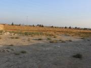 Satılır 2000 sot torpaq Məhəmmədli