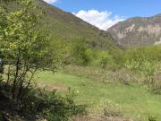 Satılır 10 sot torpaq İsmayıllı