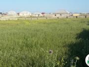 Satılır 12 sot torpaq Savalan