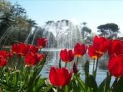 Satılır 470 sot torpaq Bakıxanov