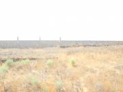 Satılır 4000 sot torpaq Məhəmmədli