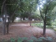 Satılır 18 sot torpaq Xırdalan