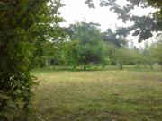 Satılır 15 sot torpaq İsmayıllı