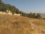 Satılır 20 sot torpaq Xalqlar Dostluğu m.