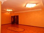 Satılır 4 otaqlı 256 m2 yeni tikili 8 mkr