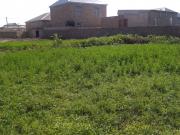 Satılır 4 sot torpaq Binə