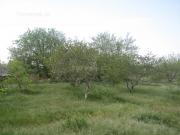 Satılır 5 sot torpaq Saray